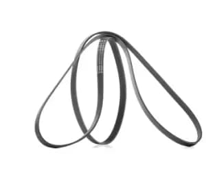 Bosch V-ribbed belt VW,MERCEDES-BENZ,HYUNDAI 1 987 947 552 2521225000,2521225000,0009931496 0109979892,0119976792,A0009931496,A0109979892,A0119976792