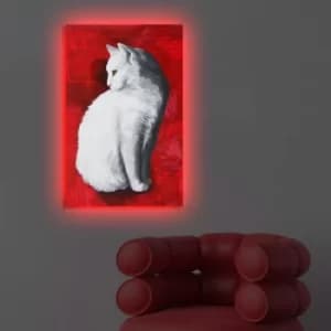 4570DACT-30 Multicolor Decorative LED Lighted Canvas Painting