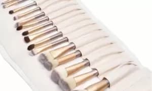 24 Piece LaRoc Champagne Brush Set