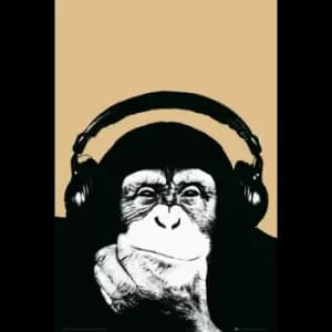 Steez Monkee Maxi Poster