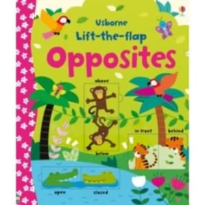 Lift-the-flap Opposites by Felicity Brooks (Board book, 2015)