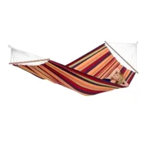 340364 Ds amazonas brasilia tropical