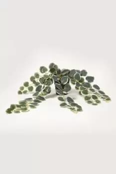 Green Chain of Hearts Hanging Basket 63 cm