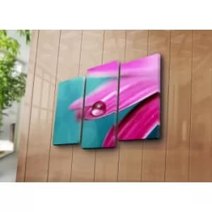 3NATPAT-22 Multicolor Decorative Canvas Painting (3 Pieces)