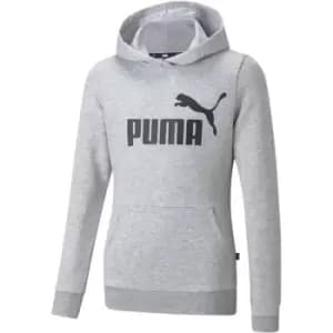 Puma Logo Hoodie FL G - Grey