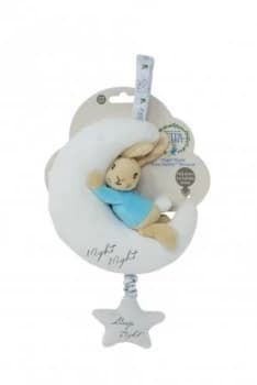 Beatrix Potter Night Night Peter Rabbit Toy