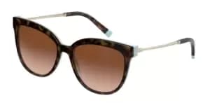 Tiffany & Co. Sunglasses TF4176 81343B