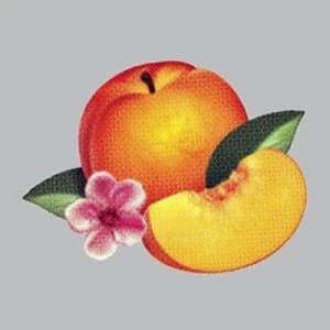 Bankrupt by Phoenix CD Album