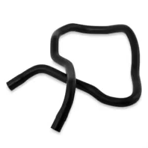 SASIC Radiator Hose 3406261 Coolant Hose VW,AUDI,SKODA,Golf IV Schragheck (1J1),Golf IV Variant (1J5),A3 Schragheck (8L1),OCTAVIA (1U2)