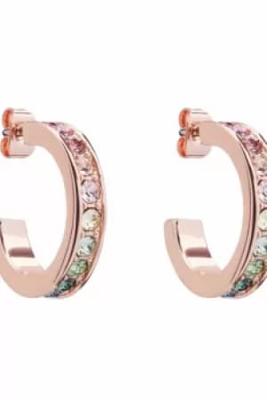 Ted Baker Jewellery Seanna Small Crystal Hoop Earring TBJ2111-24-67