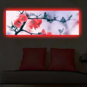 3090DACT-48 Multicolor Decorative LED Lighted Canvas Painting