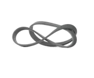 DAYCO V-ribbed belt VW,AUDI,FORD 6DPK1195 06A260849,06A260849B,06A260849C 06A260849E,6C260849C,1111928,98VW6A359CA,06A260849B,06A260849C,06A260849E