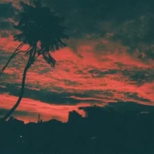 Aliso by Malena Zavala Vinyl Album