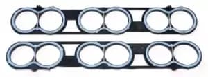Inlet Manifold Gasket 025.310 by Elring