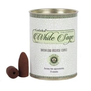 Goloka White Sage Back Flow (Pack of 6) Incense Cones