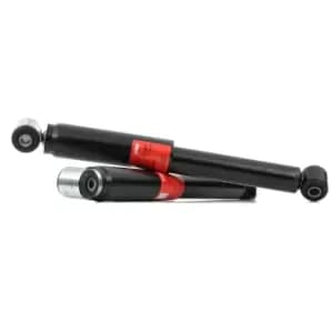 TRW Shock absorber OPEL,VAUXHALL JGT480T 436334,93182239,436334 Shocks,Shock absorbers,Suspension shocks 93182239