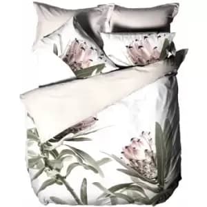 Linen House Alice Duvet Cover Set (Single) (Multicoloured) - Multicoloured