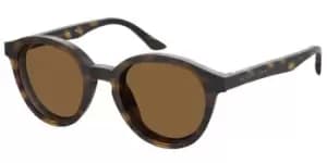 Seventh Street Sunglasses S313/CS Kids 086/SP