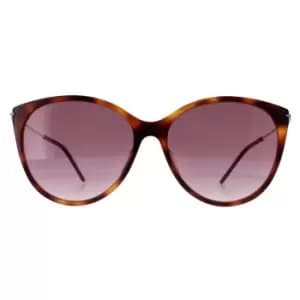Cat Eye Havana Gold Red Gradient GG1268S