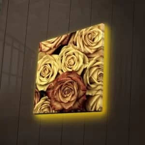 4040DACT-47 Multicolor Decorative LED Lighted Canvas Painting