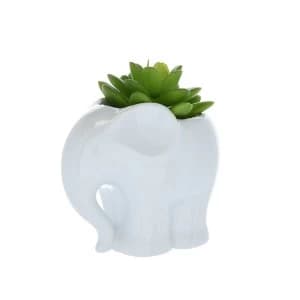 Plastic Succulent Plant In Ceramic Elephant Pot White 12.5cm