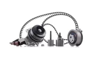 INA Water Pump + Timing Belt Kit with water pump 530 0650 30 VW,AUDI,SKODA,Golf VII Schragheck (5G1, BQ1, BE1, BE2),TIGUAN (5N_)