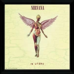 Nirvana In Utero Framed Album Cover