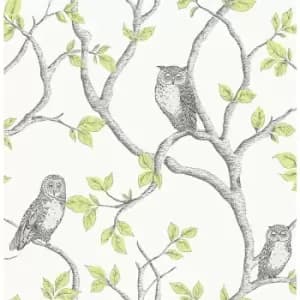 Woodland Trees Wallpaper Birds Owls Forest Green / Silver - FD40637 - Fine Decor