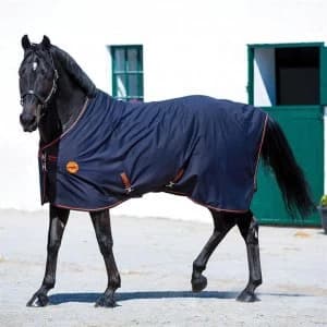 Rambo Ionic Fleece - Black