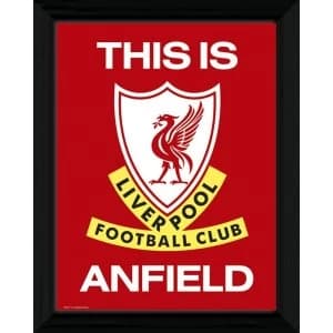 Liverpool This Is Anfield Framed 16x12 Photographic Print