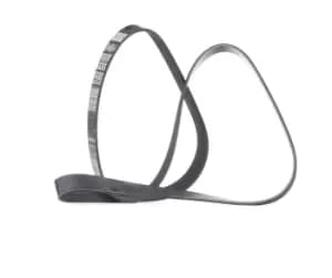 DAYCO V-ribbed belt VW,BMW,OPEL 6PK1555 03L903137L,11281427250,11281437929 11281469266,11281726689,11287529738,11287544786,11287631818,11287636378