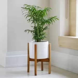 Ivyline Anzio Stone White Planter With Wooden Stand - H38.5Cm D24Cm