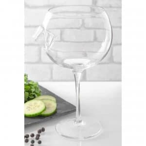 Ice and Slice Balloon Copa Glass with Ice Cube Detail