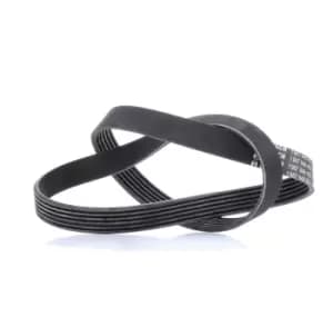 Bosch V-ribbed belt VW,AUDI,FORD 1 987 948 452 06F260849L,11281497435,11287518251 11287526364,46801955,46803270,55194752,55200255,71719644,9653319680