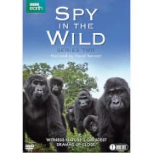 Spy in the Wild: Series 2