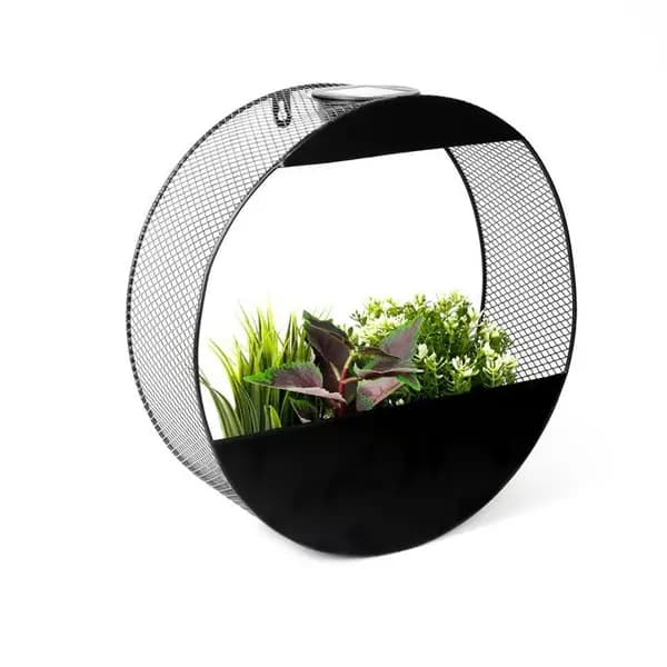 Streetwize Circular Solar Wall Planter - Black One Size