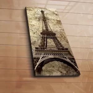 3070C-45 Multicolor Decorative Canvas Painting