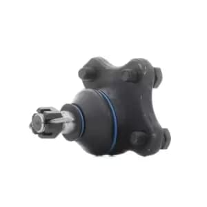 RIDEX Ball joint 2462S0152 Suspension ball joint,Suspension arm ball joint FORD,MAZDA,Ranger (ET),RANGER (ER, EQ),BT-50 (CD, UN),B-Serie Pickup (UN)