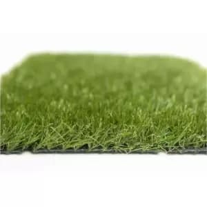 No Mow Super Pet Grass 2m Wide x 10m Long Garden & Outdoor