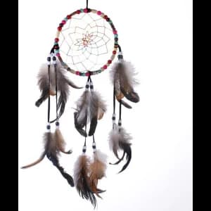 Multi Colored Dream Catcher Pack Of 6