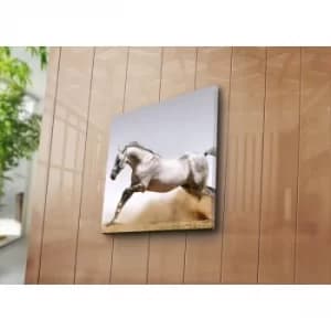 4545NAT-17 Multicolor Decorative Canvas Painting