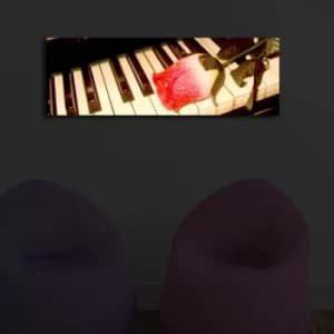 3090?ACT-42 Multicolor Decorative LED Lighted Canvas Painting