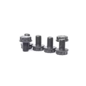 LuK Screw Set, flywheel AUDI,PORSCHE 411 0156 10 N91143202,N91143202,N91143203 PAF911432,N91143202,N91143202
