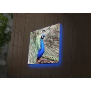 4040DACT-45 Multicolor Decorative LED Lighted Canvas Painting