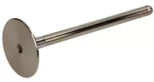 AMP Inlet Valves Intake Side PREN001-S-0-D Intake Valves,Inlet Valve RENAULT,NISSAN,DACIA,CLIO II (BB0/1/2_, CB0/1/2_),KANGOO (KC0/1_)