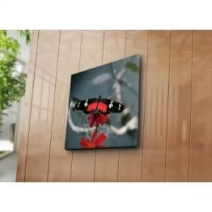 4545NAT-7 Multicolor Decorative Canvas Painting