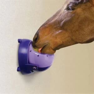 Likit Tongue Twister - Purple