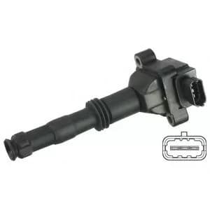 Delphi GN10504-12B1 Ignition Coil 12 V