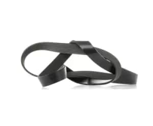 DAYCO V-ribbed belt TOYOTA 7PK1516S 90916T2006 Serpentine belt,Auxiliary belt,Poly V-belt,Ribbed belt,Multi V-belt,Poly belt