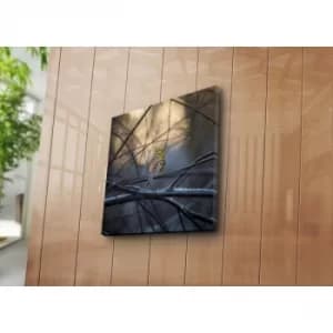 4545NAT-47 Multicolor Decorative Canvas Painting